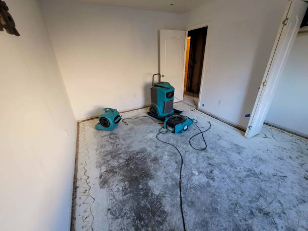 Best Water damage restoration near me  in Prairie Grove, IL