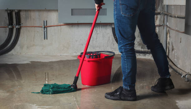 Best Residential water damage restoration  in Prairie Grove, IL