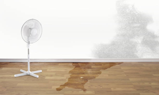Sewage cleanup and water damage restoration in Prairie Grove, IL