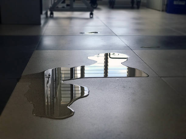 Best Water damage contractors near me  in Prairie Grove, IL