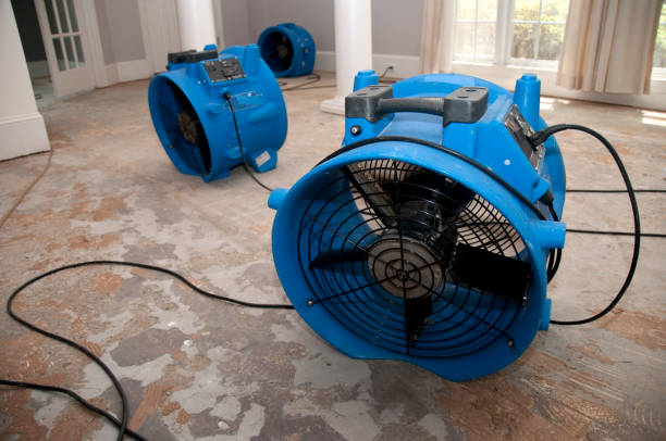  Prairie Grove, IL Water damage restoration Pros