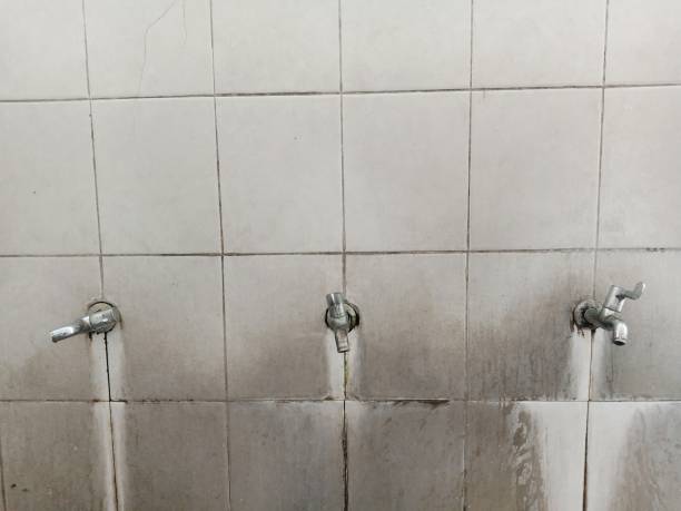 Best Ceiling water damage repair  in Prairie Grove, IL