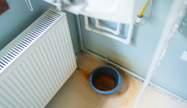 Best Water damage restoration process  in Prairie Grove, IL