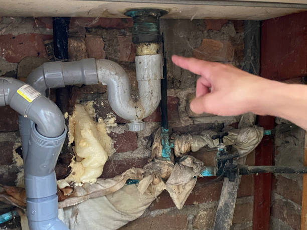 Water damage restoration experts in Prairie Grove, IL
