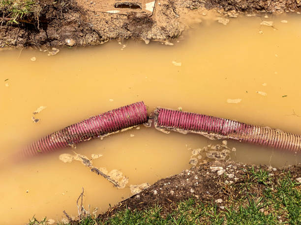 Best Flooded house restoration  in Prairie Grove, IL