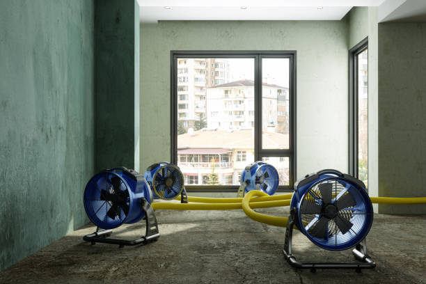 Water damage restoration insurance claims in Prairie Grove, IL